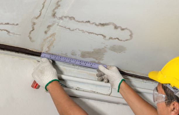 Reliable Structural Drying contractor in Waterloo, NE by Water Damage Irwin